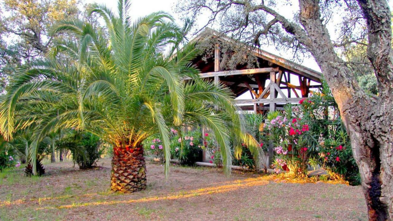Hotel Happy Trimurti Cogolin Exterior foto